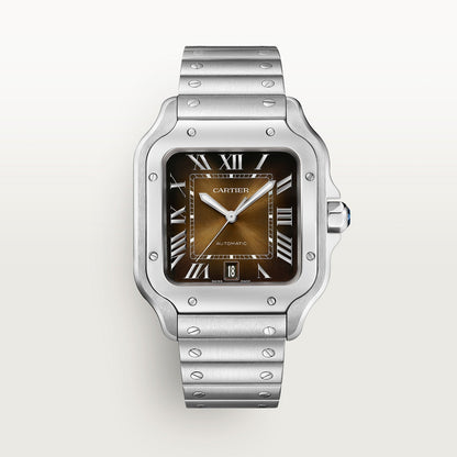 Roland de Sartori Watch Brown Dial