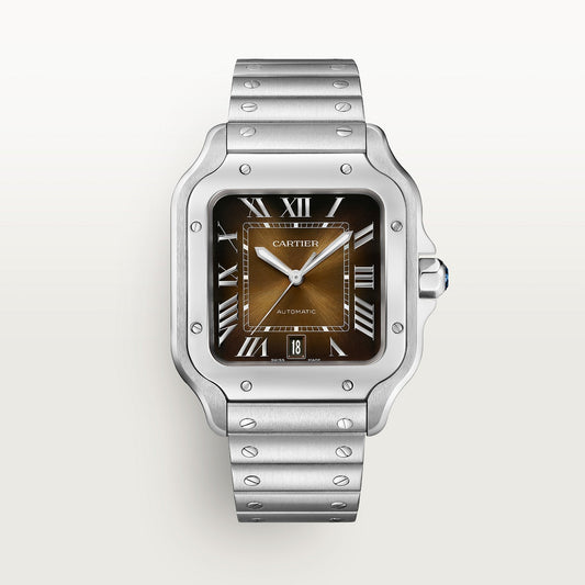 Roland de Sartori Watch Brown Dial
